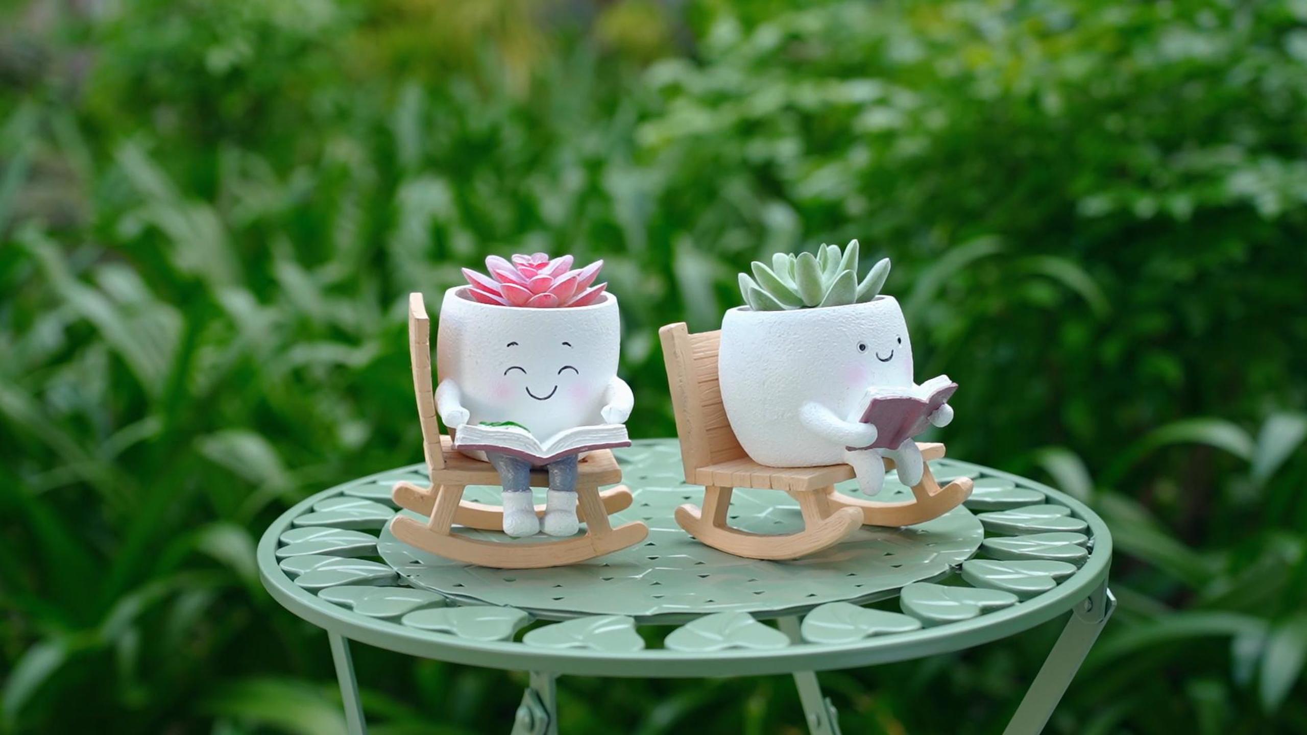 Amazon.com: Rocking Chair Smiley Face Planter,Cute Plant Pots for