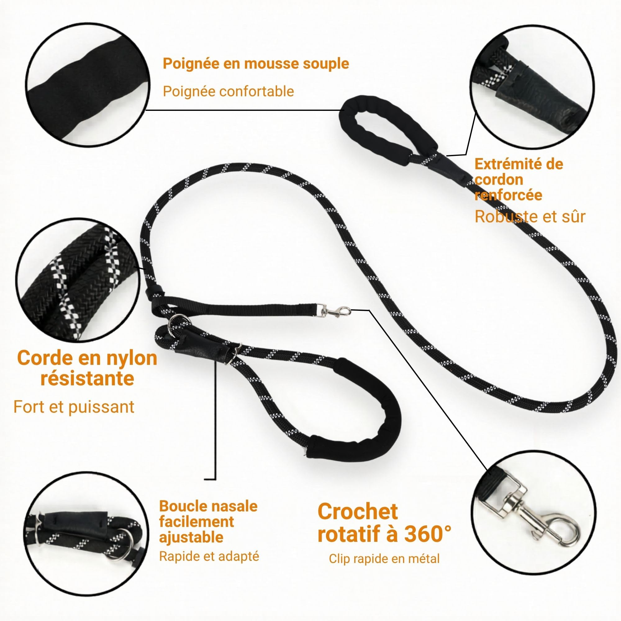 SOLDAY Laisse Anti Traction Chien 2m - Lasso Multiposition pour Toutou Qui Tire Fort - Longe Dressage Réfléchissante Grand & Moyen Canin Noir