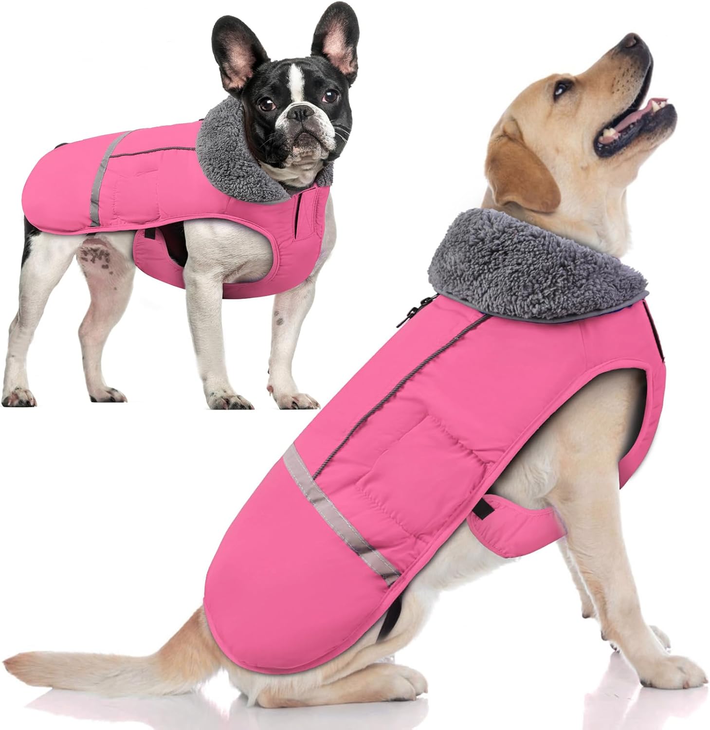 Doglay Waterproof Dog Coat with Furry Collar