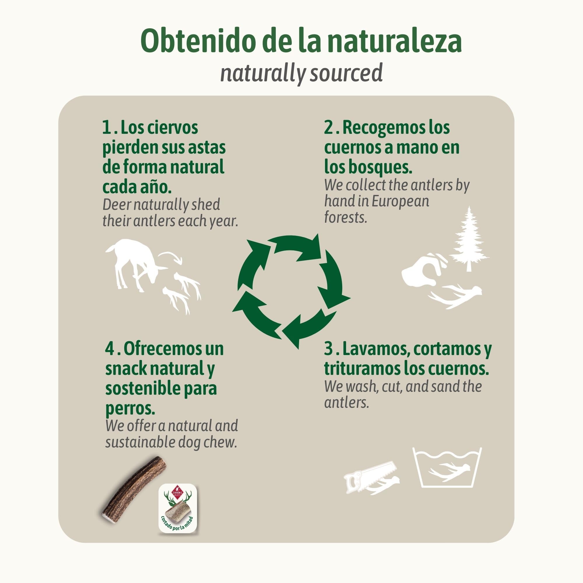ChronoBalance XL Asta de Ciervo para Perros, 100% Naturales Piezas Enteras, Palillo Masticable, Juguetes para Perros, Tratar Cuidado Dental, Sin Aditivos, Larga Duración, Conjunto de 5