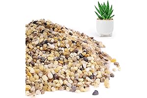 Gravel Pebbles: Plant's True Companion for Drainage, Decoration, and More