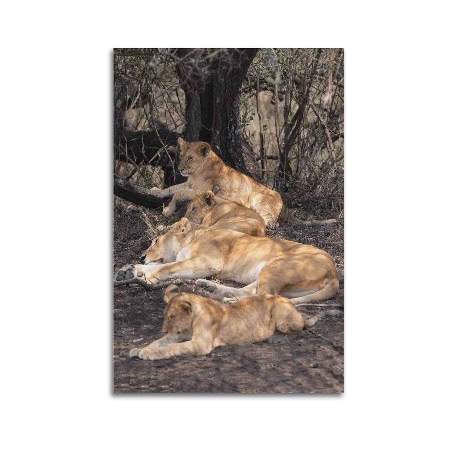 Xkuga Boys Unframe-Style Africa Lion Pride Habitat Animal Poster Lioness And Cubs Modern Decorative Canvas Prints - Ideal Wall Art For Family, Man Cave, Game Room, & Girls Bedroom 20X30inch(50X75cm)