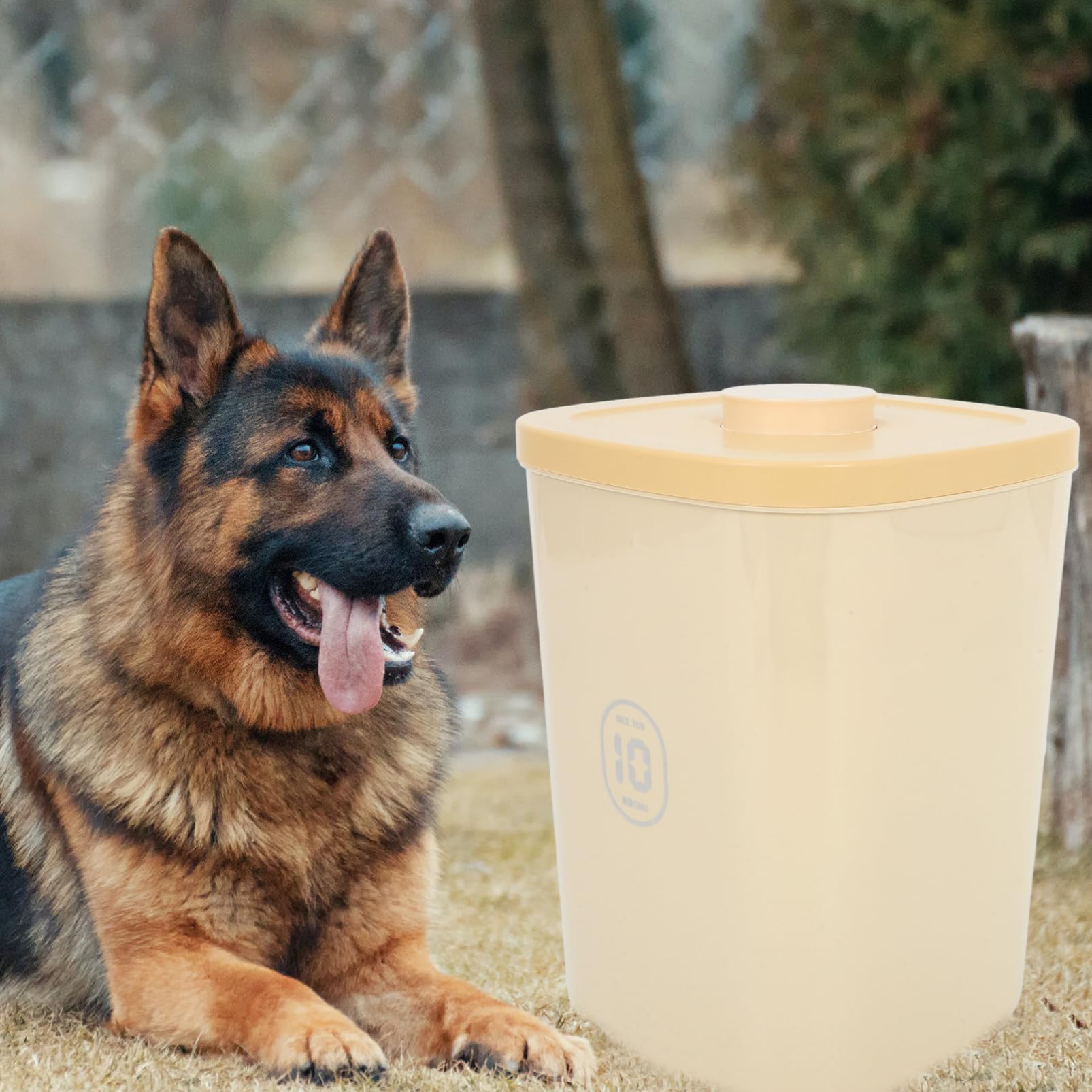 YARNOW Récipient Hermétique De Stockage De Nourriture Pour Chien Jusqu'à 22 Lb/10 Kg Boîte De Friandises Pour Animaux De Compagnie Récipient De Nourriture Pour Chat Bac En Plastique