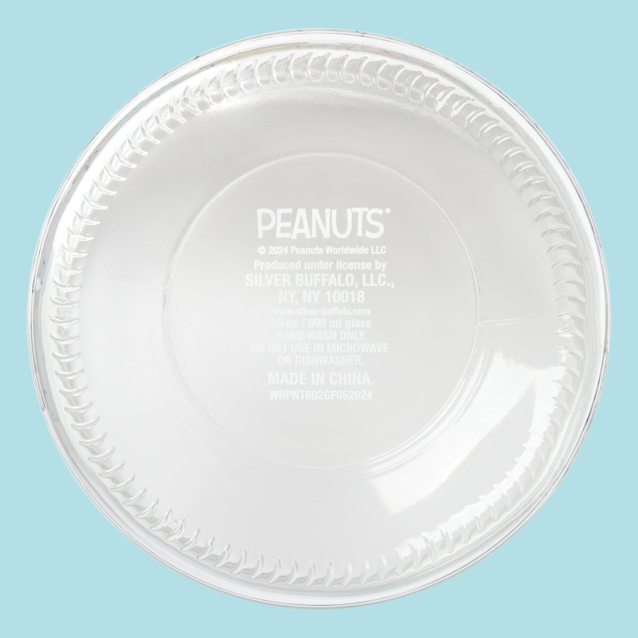 Silver Buffalo Peanuts Line Up Group 15 cm szklany słoik z pokrywką