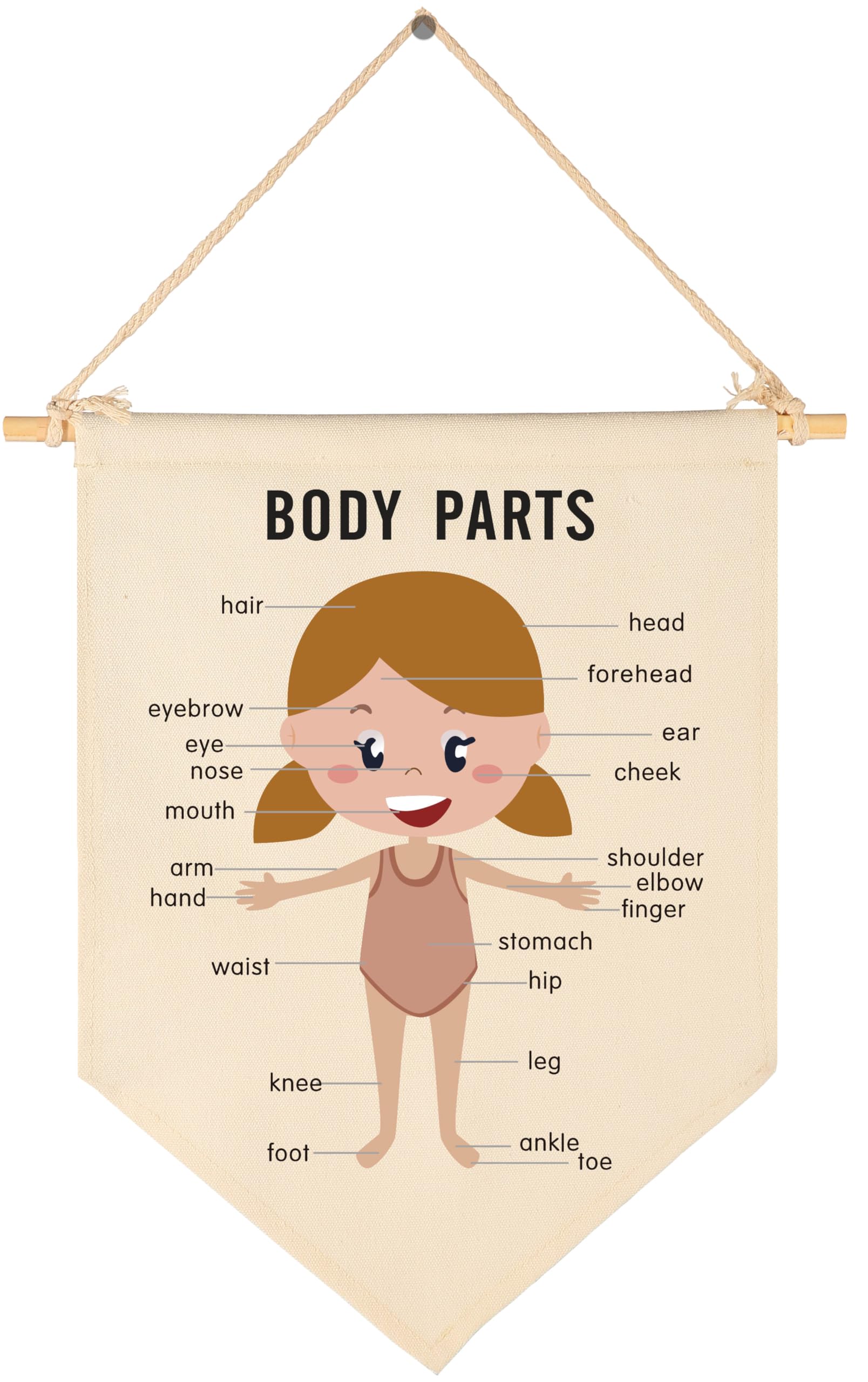 Classroom Wall Banner Decor-Teacher Supplies Gift-Inspirational Back to School Wall Educational Flag-Motivational Quote-Hanging Canvas Pennant Sign for Classroom-Girl,Body Parts Educational