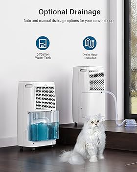 グラン・ウォーデン 812vNLzTs7L._UF894,1000_QL80_.jpg