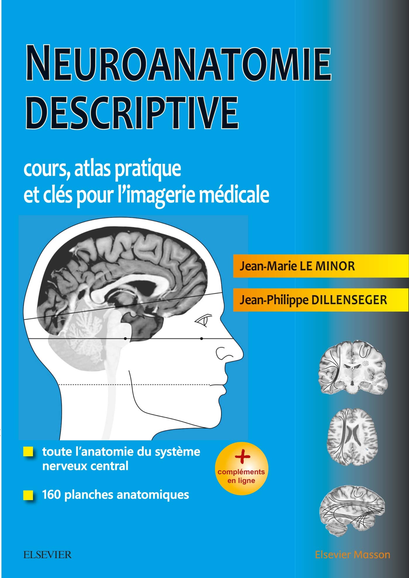 Neuroanatomie descriptive: Cours, atlas pratique et clés pour l'imagerie médicale