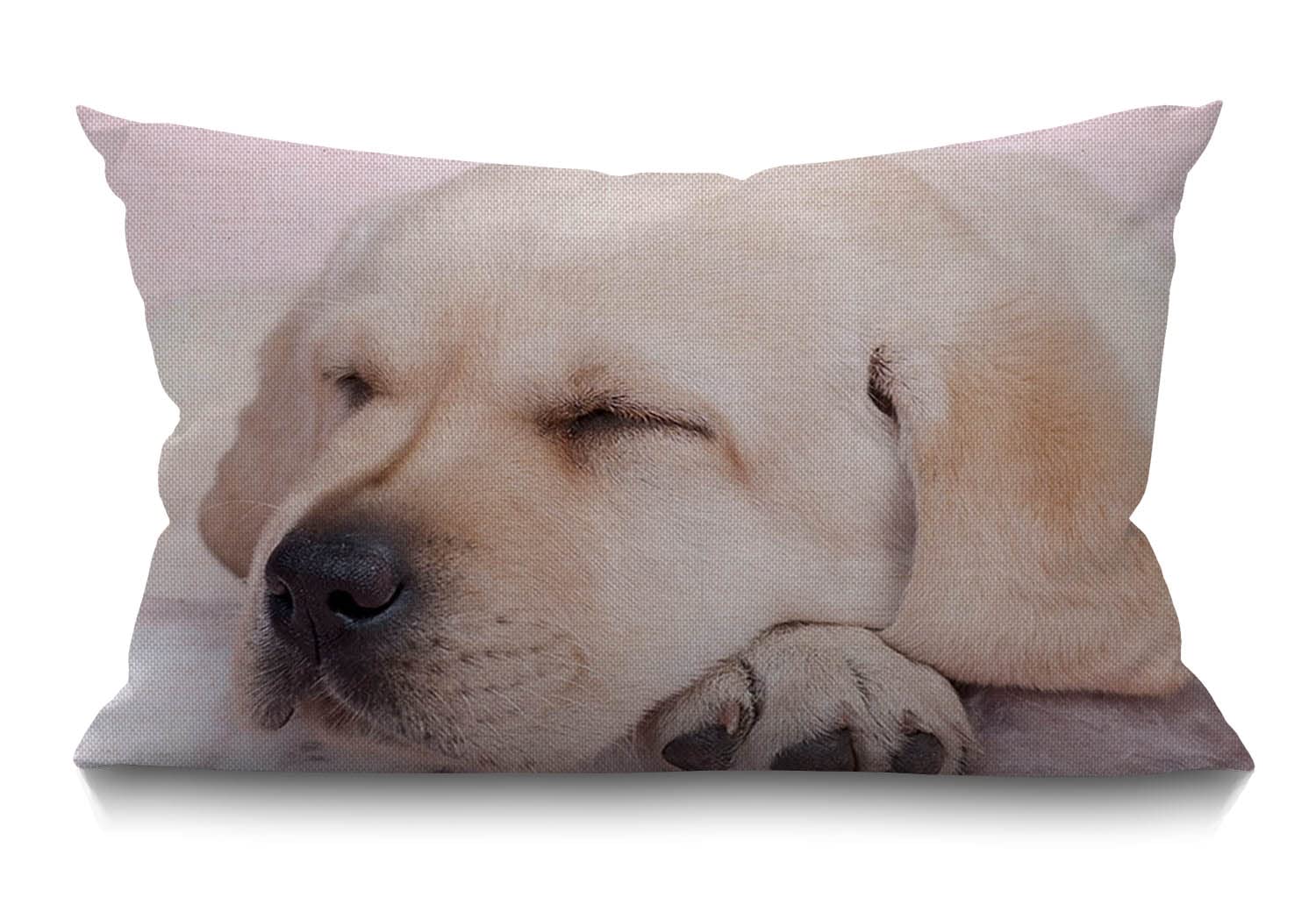 Bgbdeia Multi 342 Dog Lumbar Cushion Cover 30X50cm 12X20 Inch Decorative Bedroom Living Room Funny Sleeping Labrador Puppy Dog Rectanglar Throw Pillow Cover For Bed Sofa Couch