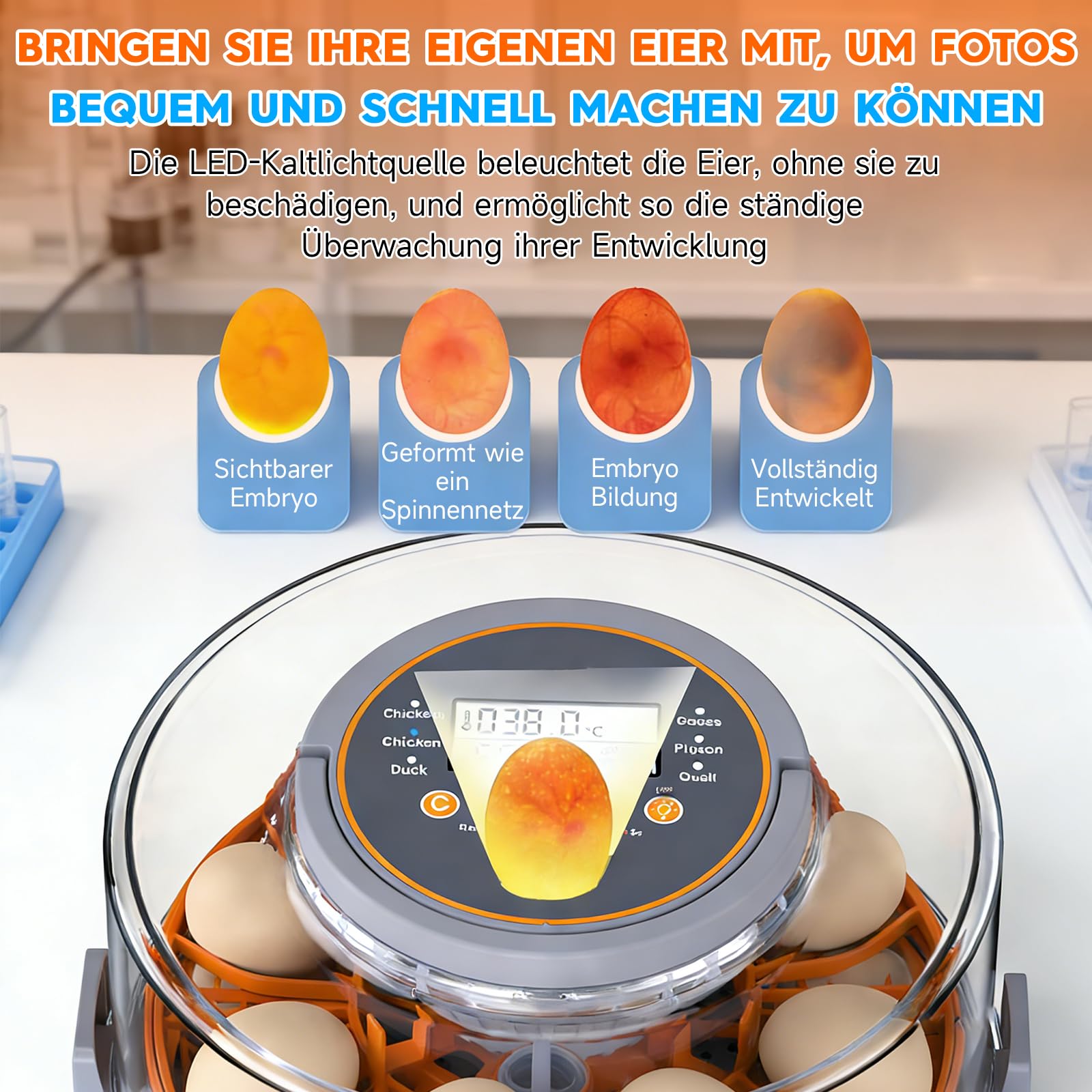 Incubadora totalmente automática, incubadora para 20 huevos con control de temperatura y humedad, giro automático y parada, para pato, gallina, paloma y codorniz