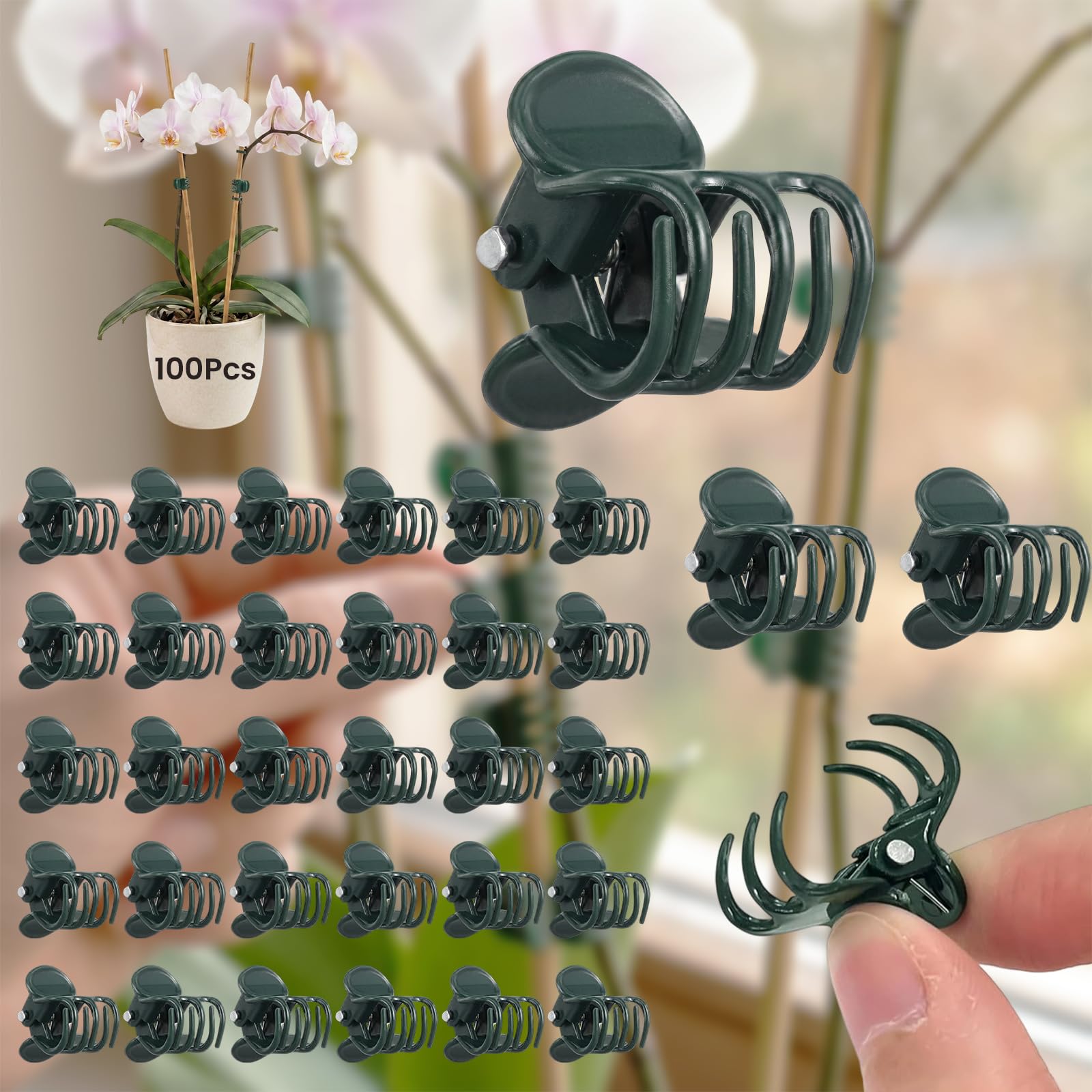 100 sztuk wytrzymałych klipsów do storczyków – rozkładane 180° bez łamania | Tworzywo sztuczne zapewnia stabilne trzymanie storczyków Phalaenopsis dla ich prawidłowego wzrostu – ciemnozielony