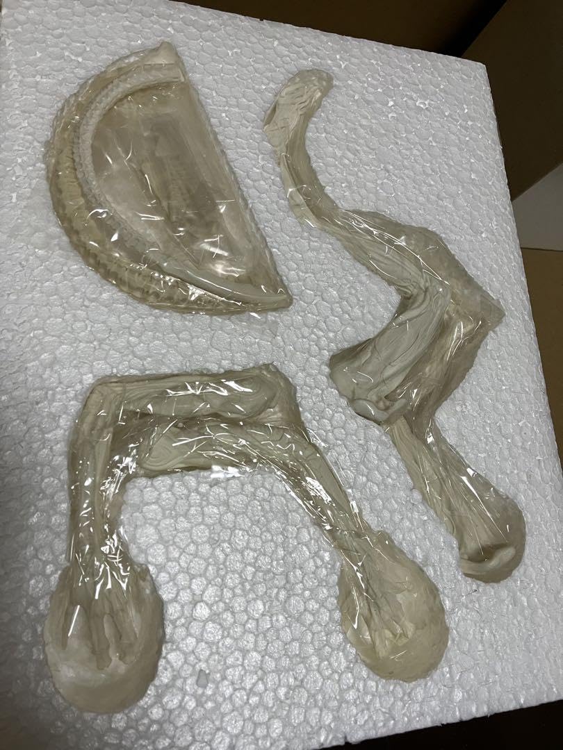 Amazon.co.jp: エイリアン ダークホース コールドキャスト キット 1 8