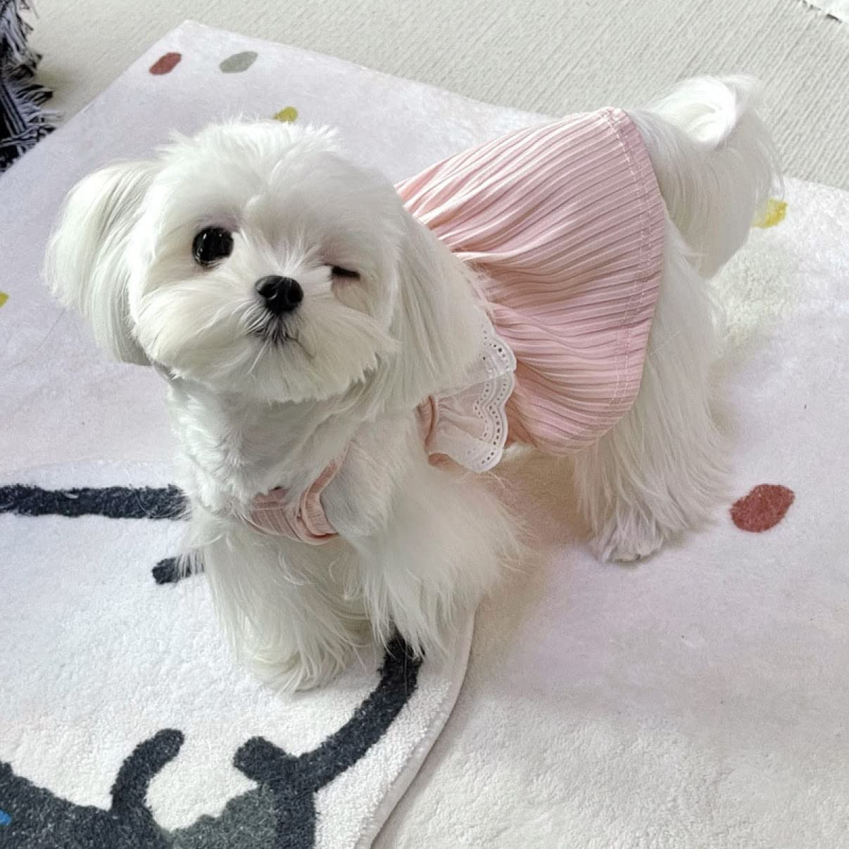 韓国犬服ブランド　mininut セットアップ　ピンク　Mサイズ 海外犬服 高品質なインポートのドッグウェア通販  犬服・アクセサリー