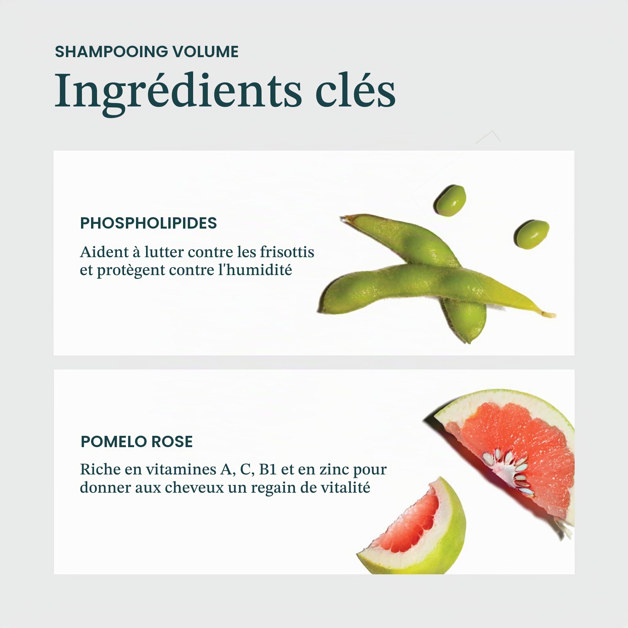 VIRTUE|Shampooing complet 8 FL OZ | L'alpha-kératine épaissit et volumise les cheveux | Sans sulfate, sans paraben, sans colorant, végétalien