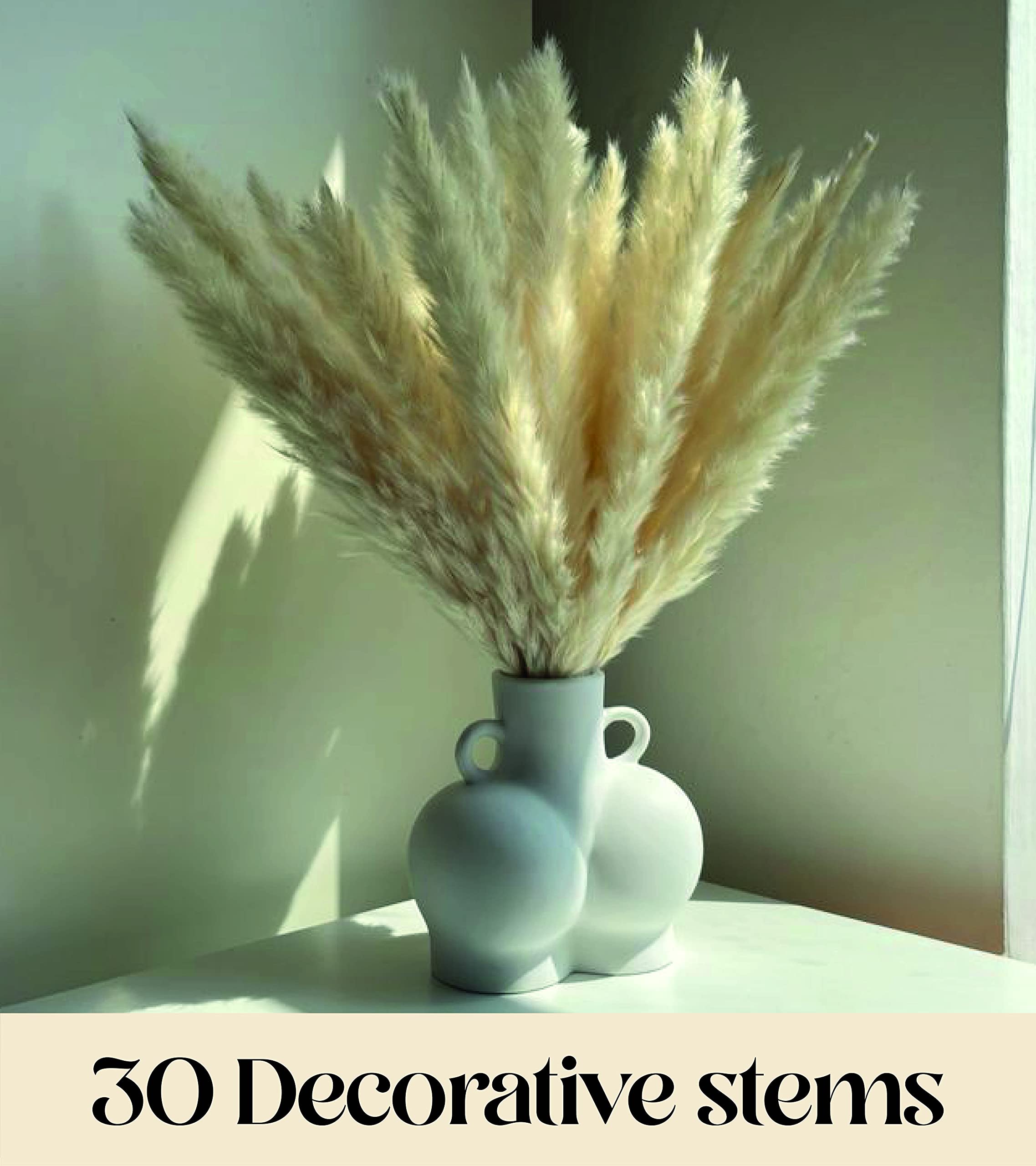 Antheia Interior Pampas Grass Decor 45pcs Golden White Pampas Grass