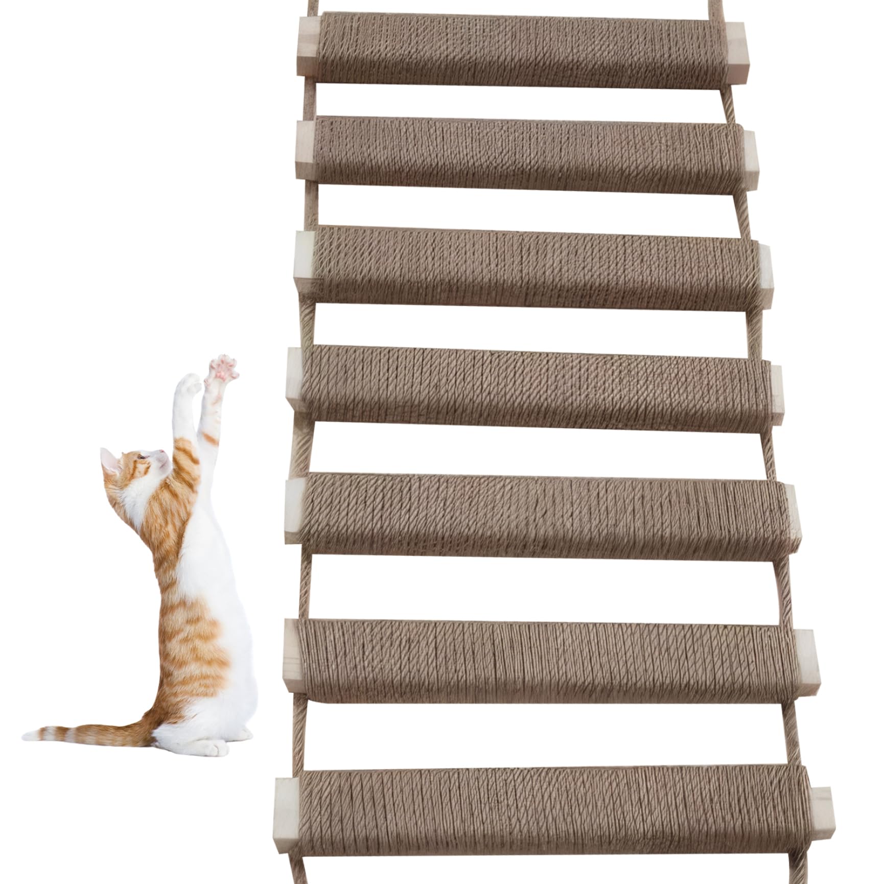 Pont d'escalade mural pour chat en bois et corde de lin suspendu