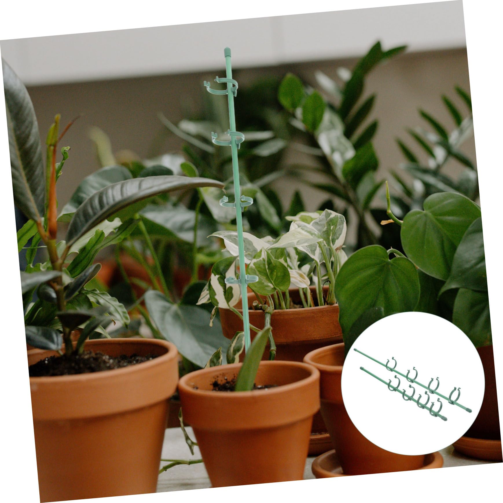 BESTonZON 5 Juegos Estacas de Jardín Soporte de Plantas Trepadoras Clips Ajustables Soporte Vegetales Resistente al Aire