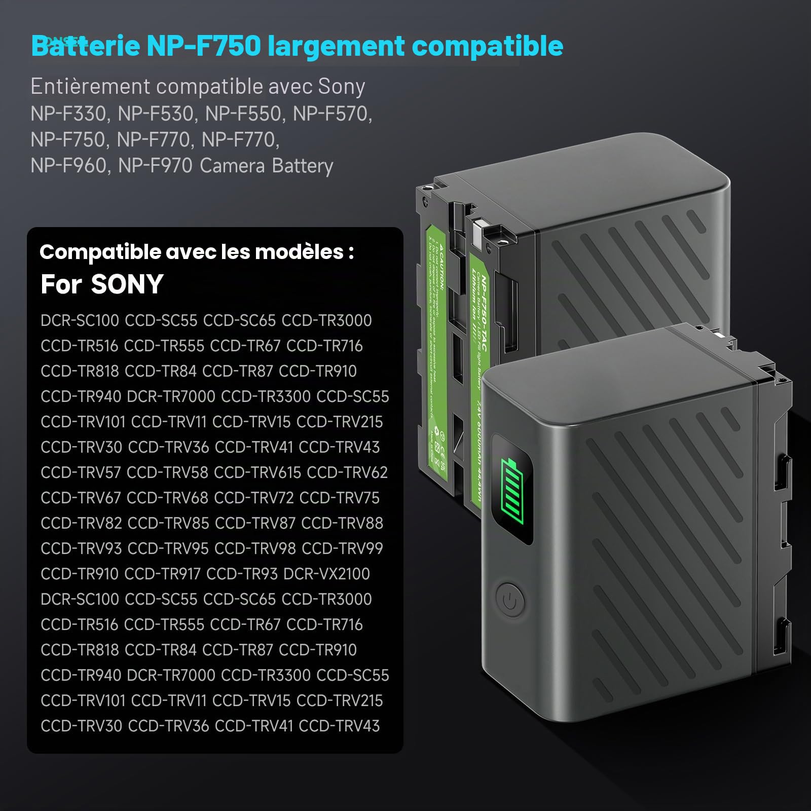 NP-F750 6000mAh USB-C Batterie à Chargement Direct pour Sony NPF F980 F970 F960 F930 F770 F750 F550, CCD-TRV815,DCR-TRV9,CCD-TR3,CCD-TRV82,DCR-TRV900,CCD-TR3000,CCD-TRV85,DCR-VX200,CCD-TR3300 (2Pcs)