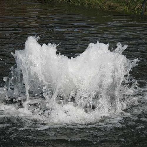 Scott Aerator Boilermaker Aireador de estanque - Aireador de superficie de 1-1/2 HP 230V con cable eléctrico de 100 pies - Aireador de estanque de