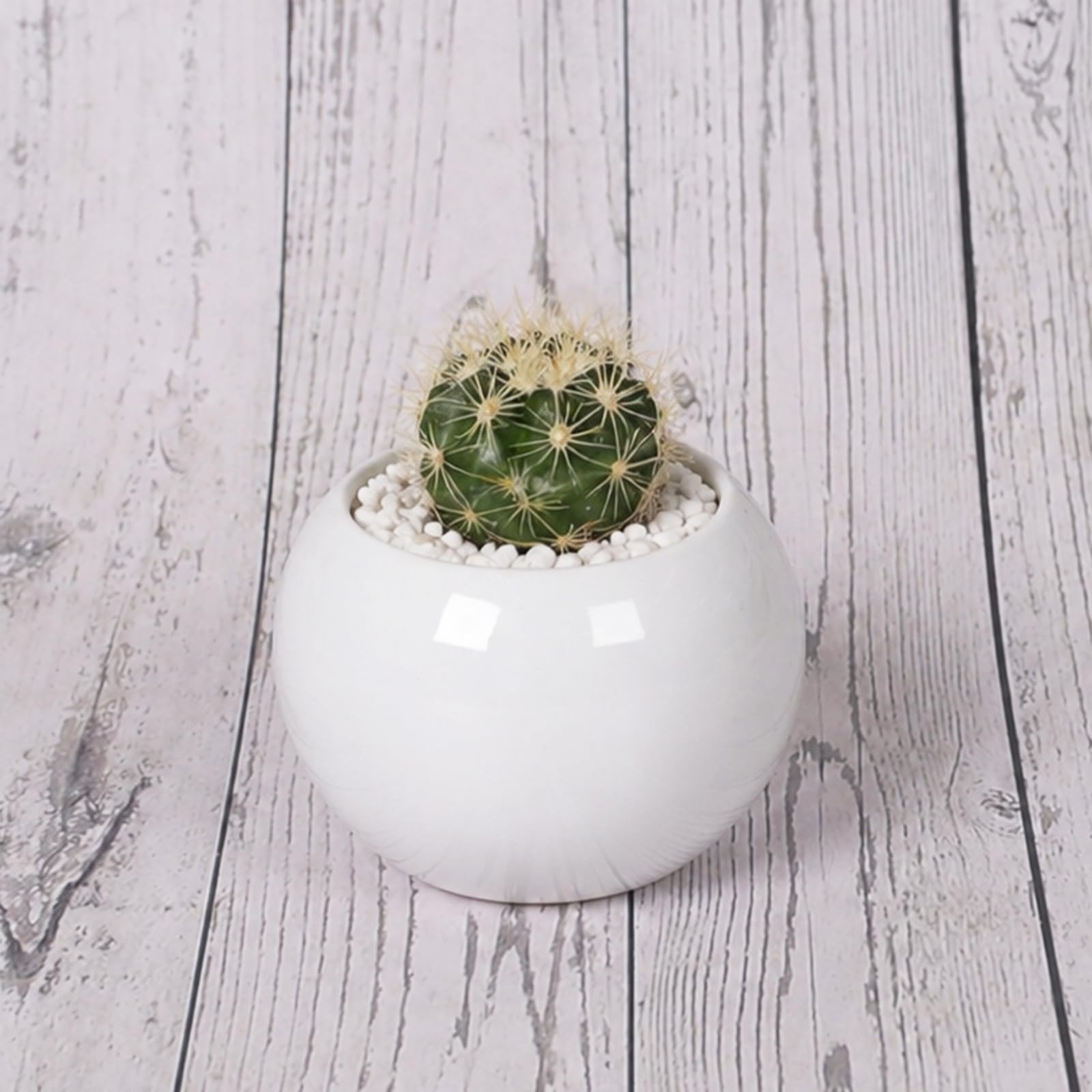 Amazon.co.jp: 植木鉢 ボールSS 白 1個 高さ5.3cm×直径7cm（口径6.3