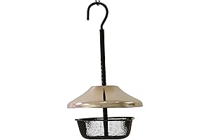 Mealworms Bird Feeder: Keep Your Feathered Friends Happy and Healthy