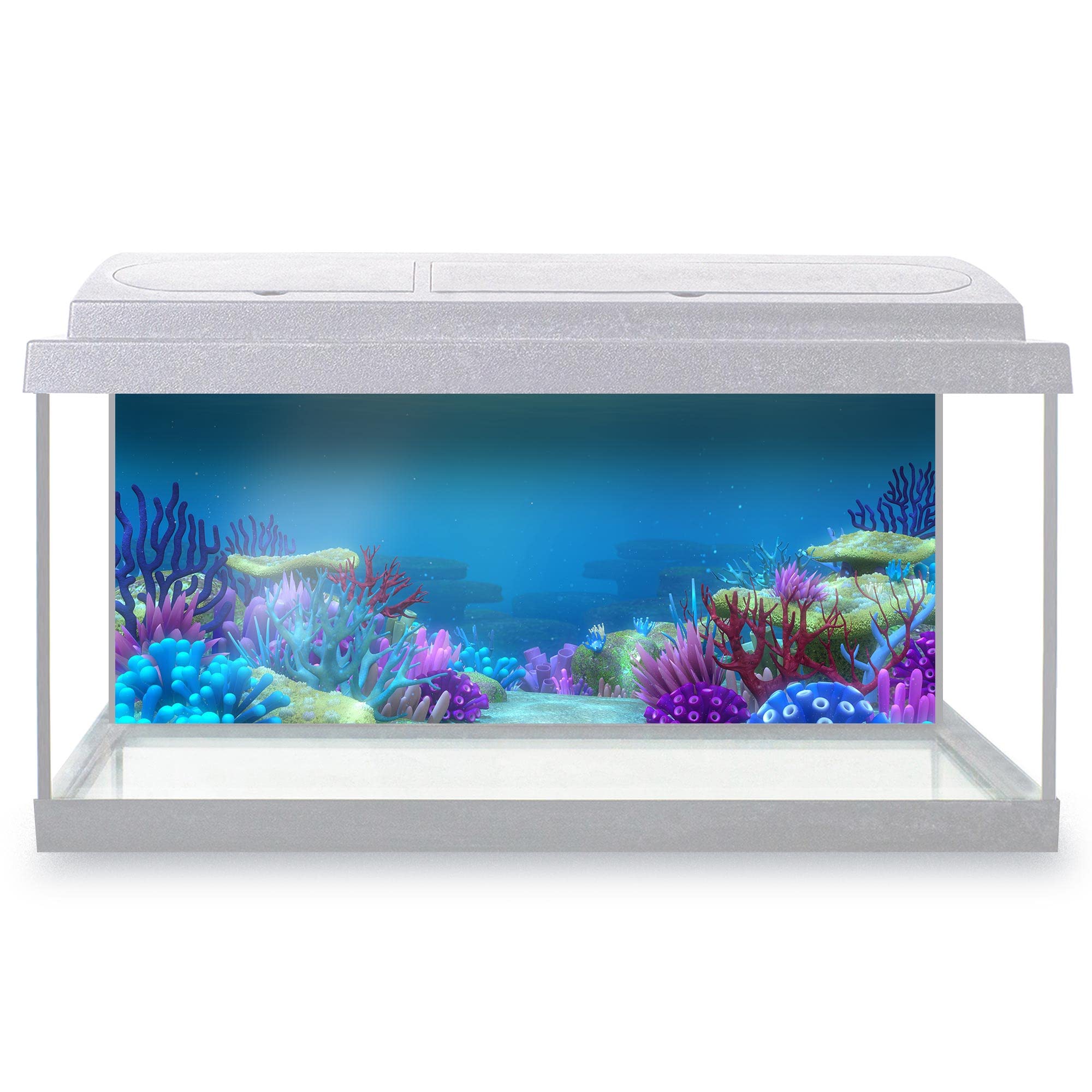 DV DESIGN Aquarium Fish Tank Background 77x32 cm - Colorful Coral Reef Ocean Underwater World Sea Marine Aquatic Static Cling Vinyl Vivarium Terrarium External Application #500023