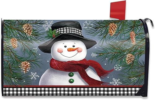 Briarwood Lane Funda para buzón sonriente de muñeco