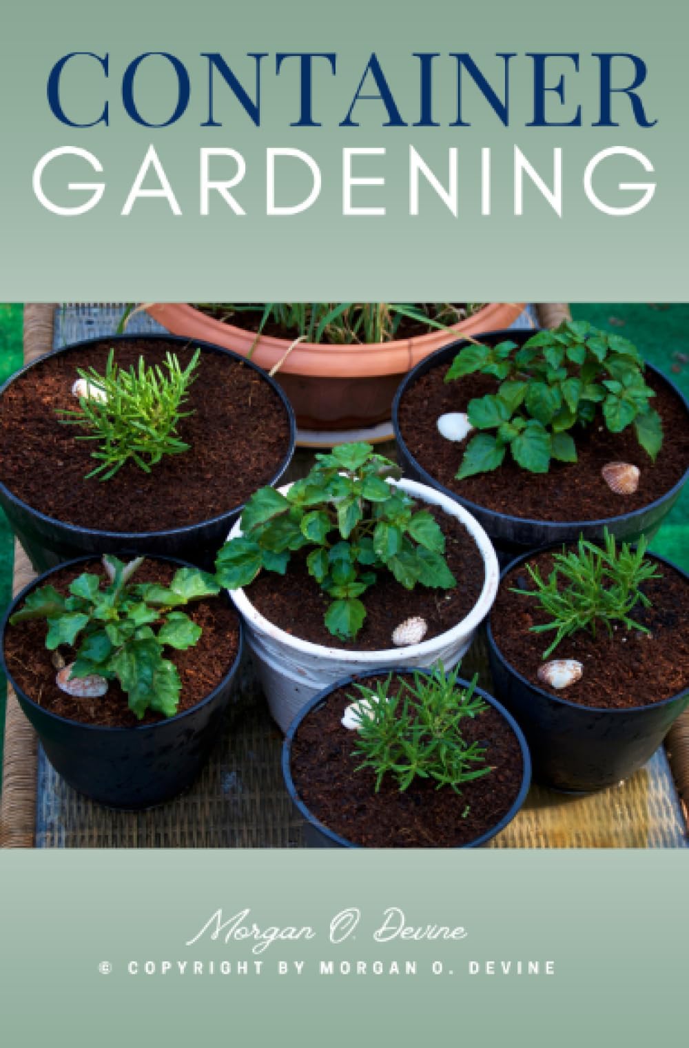 Container Gardening::