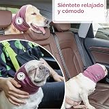 Ver la foto 7
