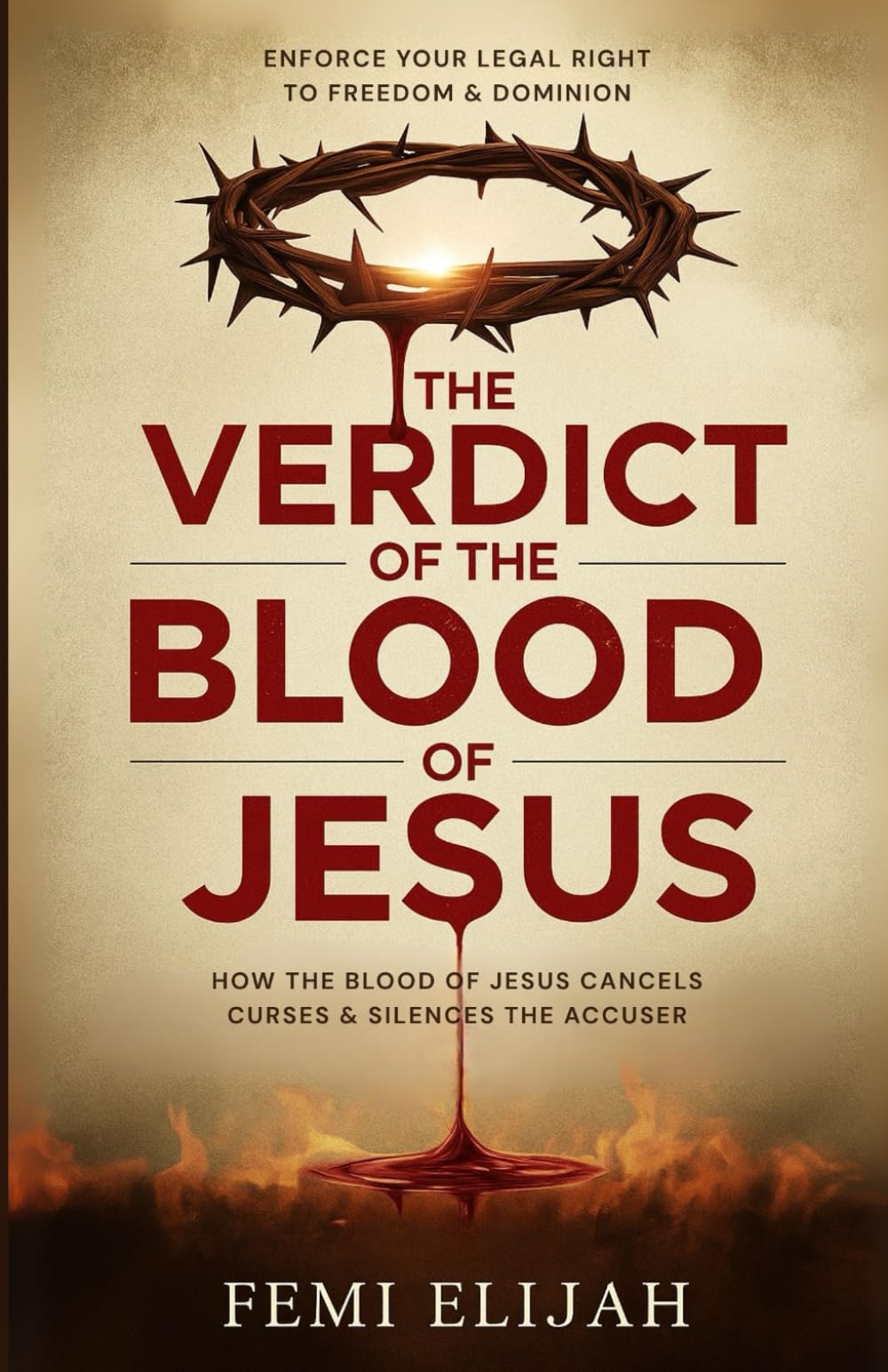 The Verdict of the Blood of Jesus: How the Blood of Jesus Cancels Curses, Silences the Accuser, and Enforces Your Legal Right to Freedom and Dominion ... Weapons of Deliverance and Breakthrough)