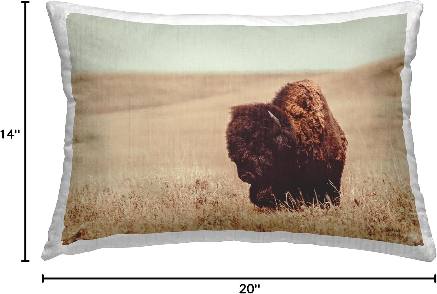 Stupell Industries Bison Country Pasture Design by Nathan Larson