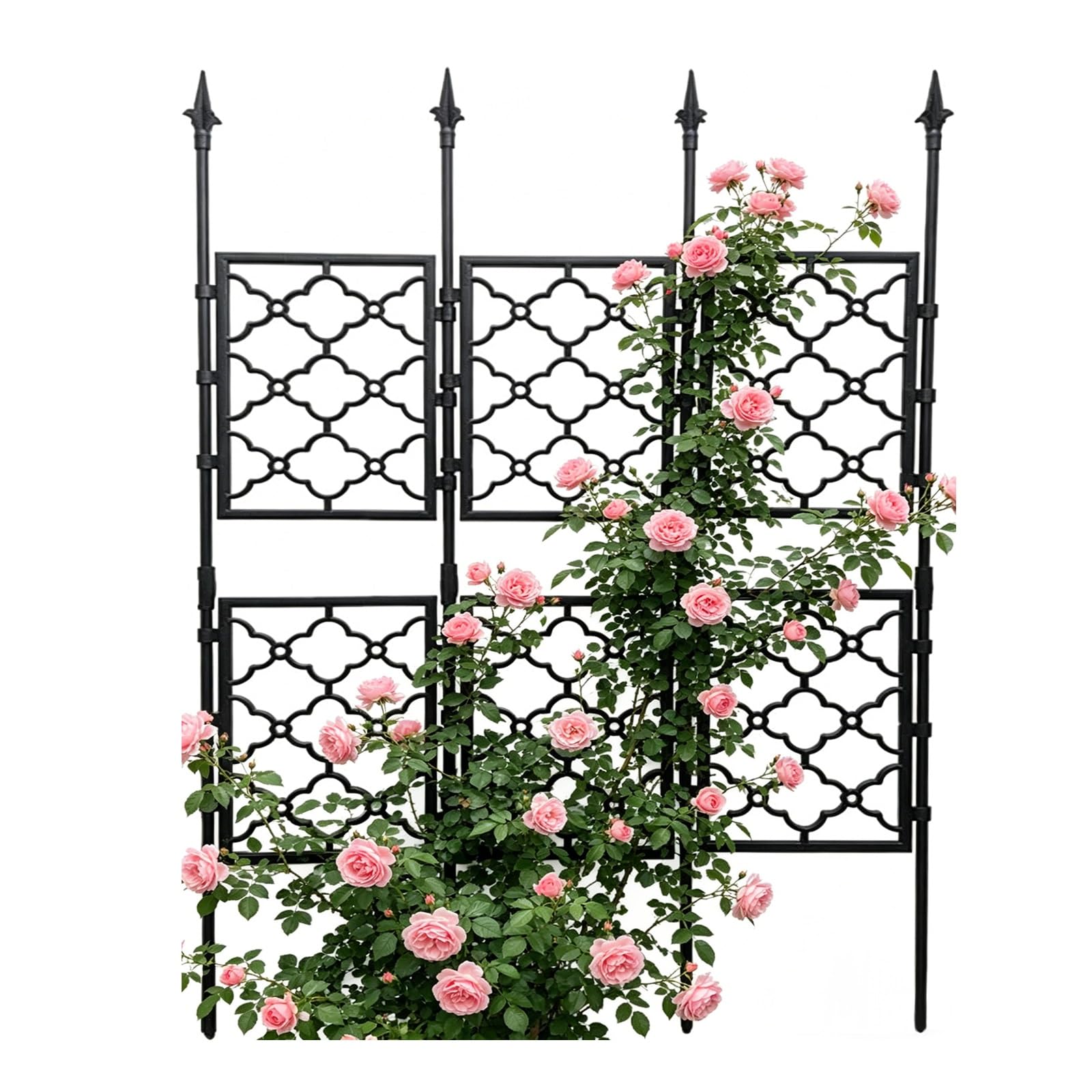 Treillis de jardin en métal antirouille durable pour rosiers et vignes