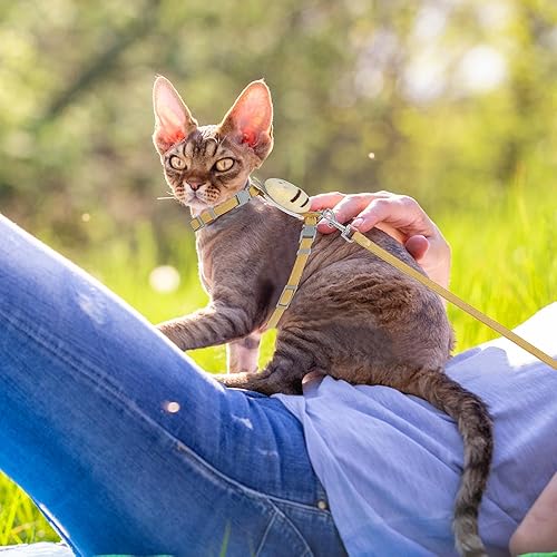 Miniatura 6 de TIESOME Juego de arnés y correa para gato, arnés ajustable degradado para gatito, arnés a prueba de escapes con correa para caminar al aire libre