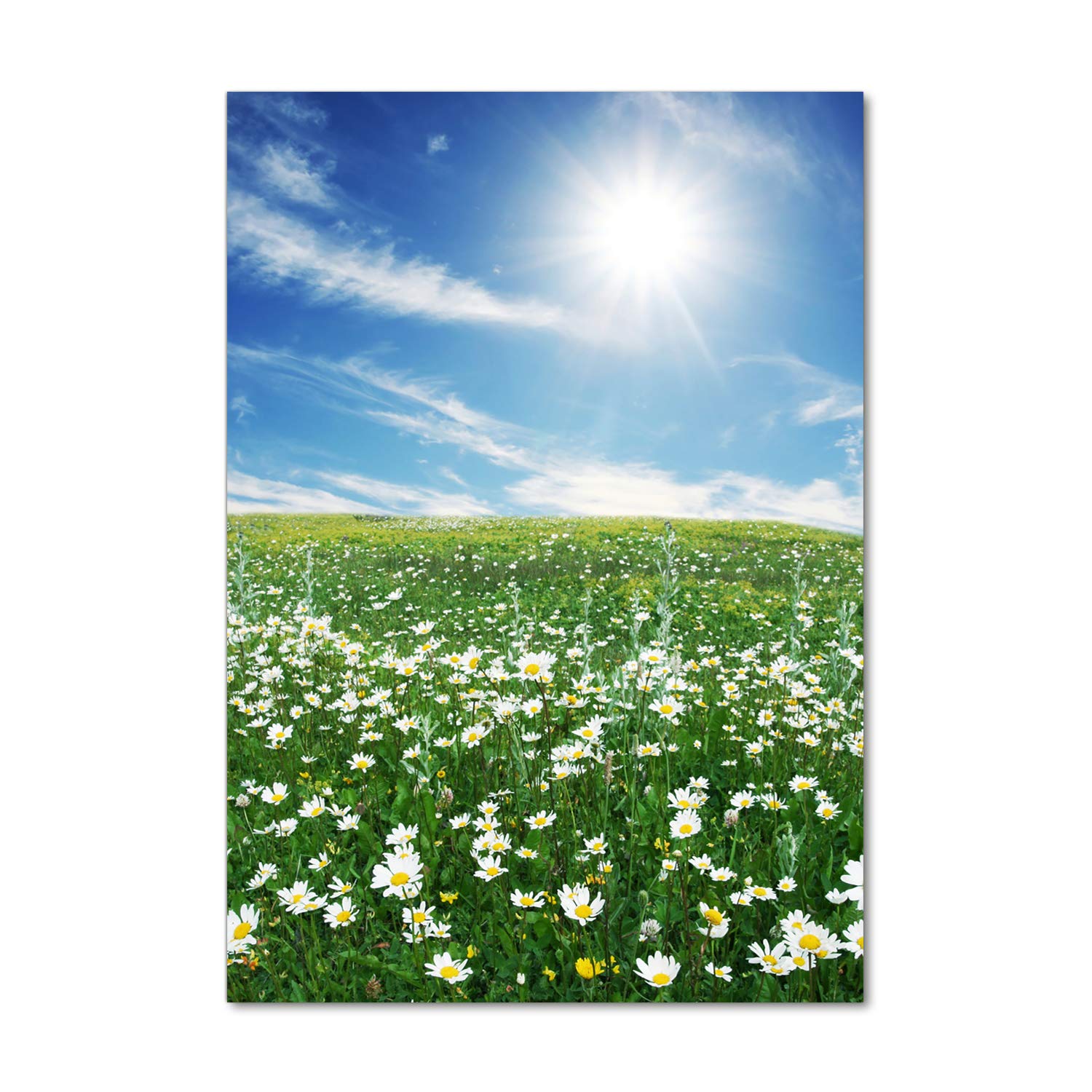 Tulup Impression sur Verre 70x100 cm Image Tableau Photo décorative panoramique pour la Cuisine et Le Salon - Paysage - Prairie - Vert
