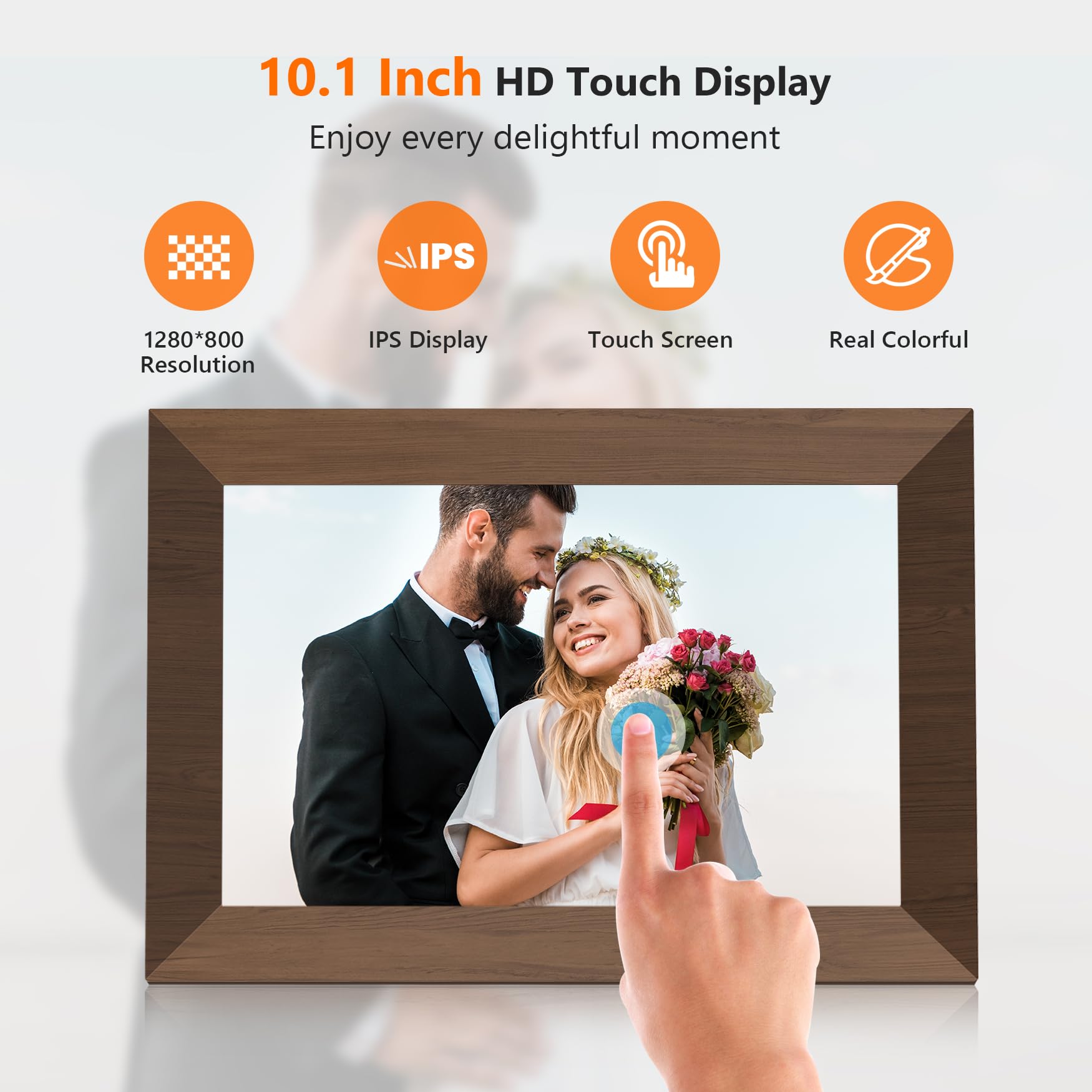 https://m.media-amazon.com/images/I/71XswZsqsTL.jpg