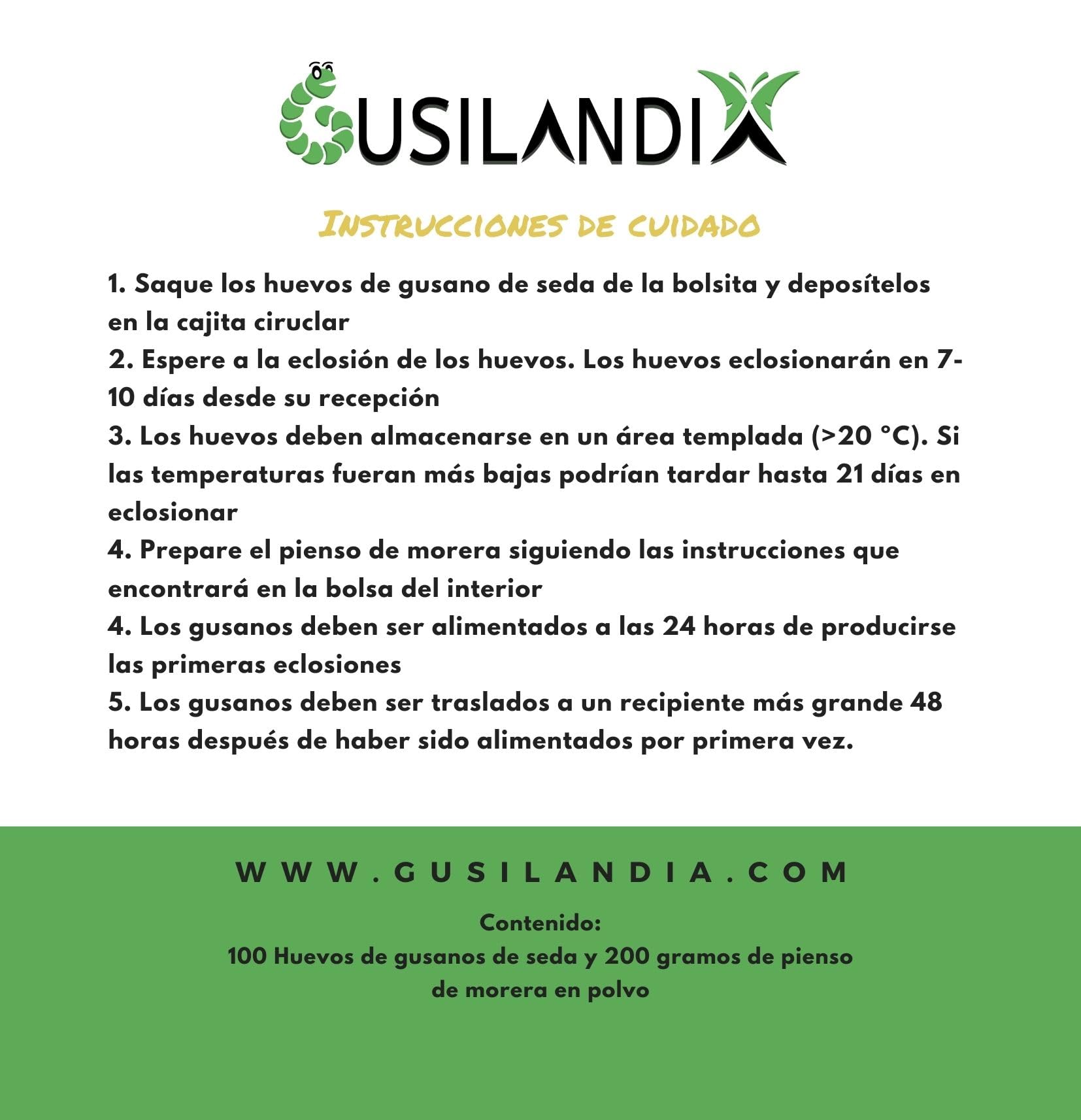 Kit Gusanos de Seda y pienso de Morera – Eclosión rápida -100 Huevos y 200 Gramos de Comida