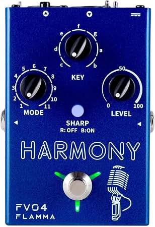 Amazon.com: BOSS VE-2 Vocal Harmonist Bundle with Gearlux Power