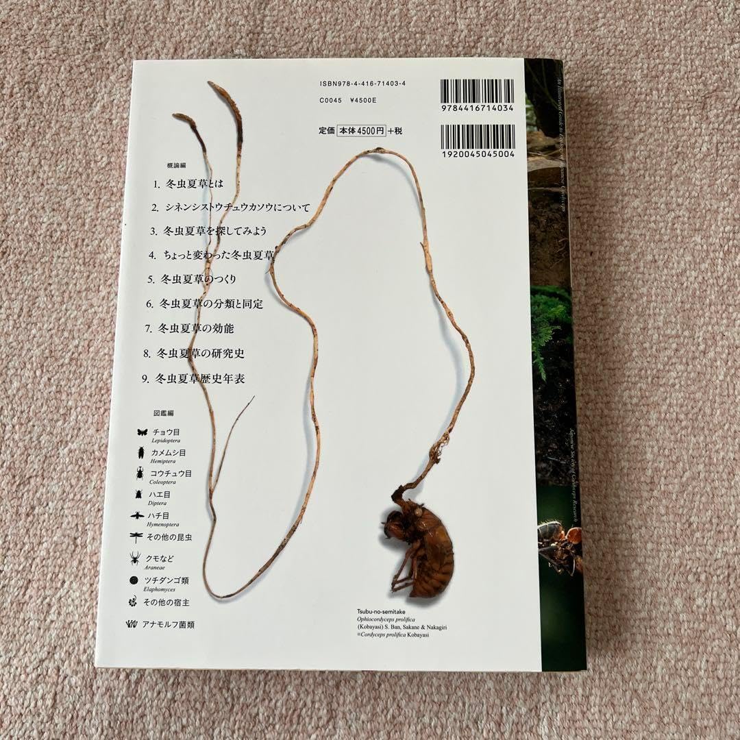 冬虫夏草生態図鑑 採集・観察・分類・同定、効能から歴史まで 240種類 81xDrtlkd9L.jpg_BO30,255,255,