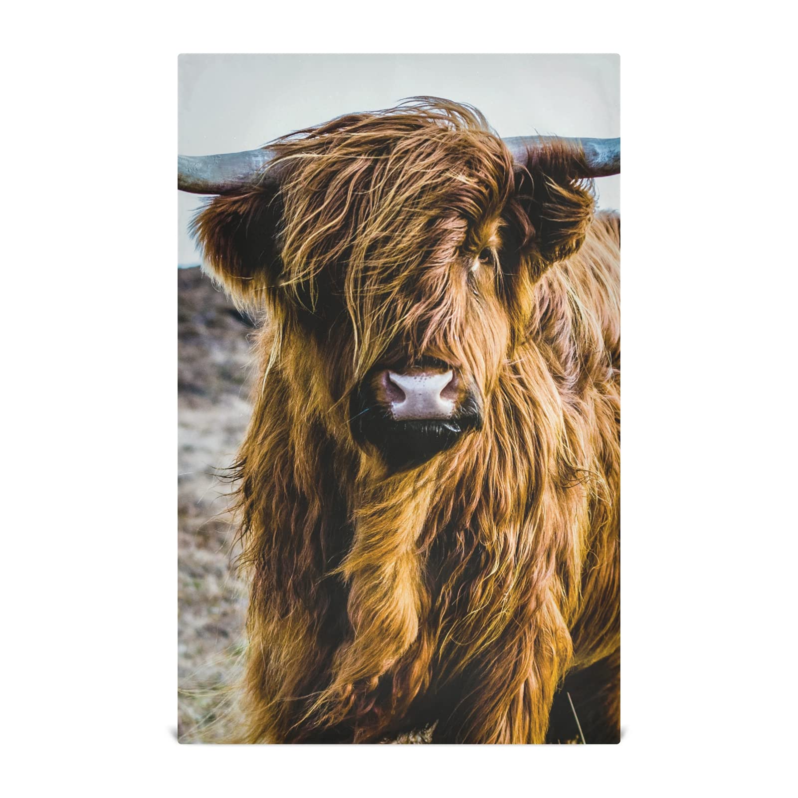 Earth-Yellow Scottish Highland Cow Vintage Style 1 Pack Polyester Kitchen Dish Towel, Hand Bar Tea Towels with Hanging Loop, Hemmed NapkinTowel Dishtowels Waffle Dishcloths