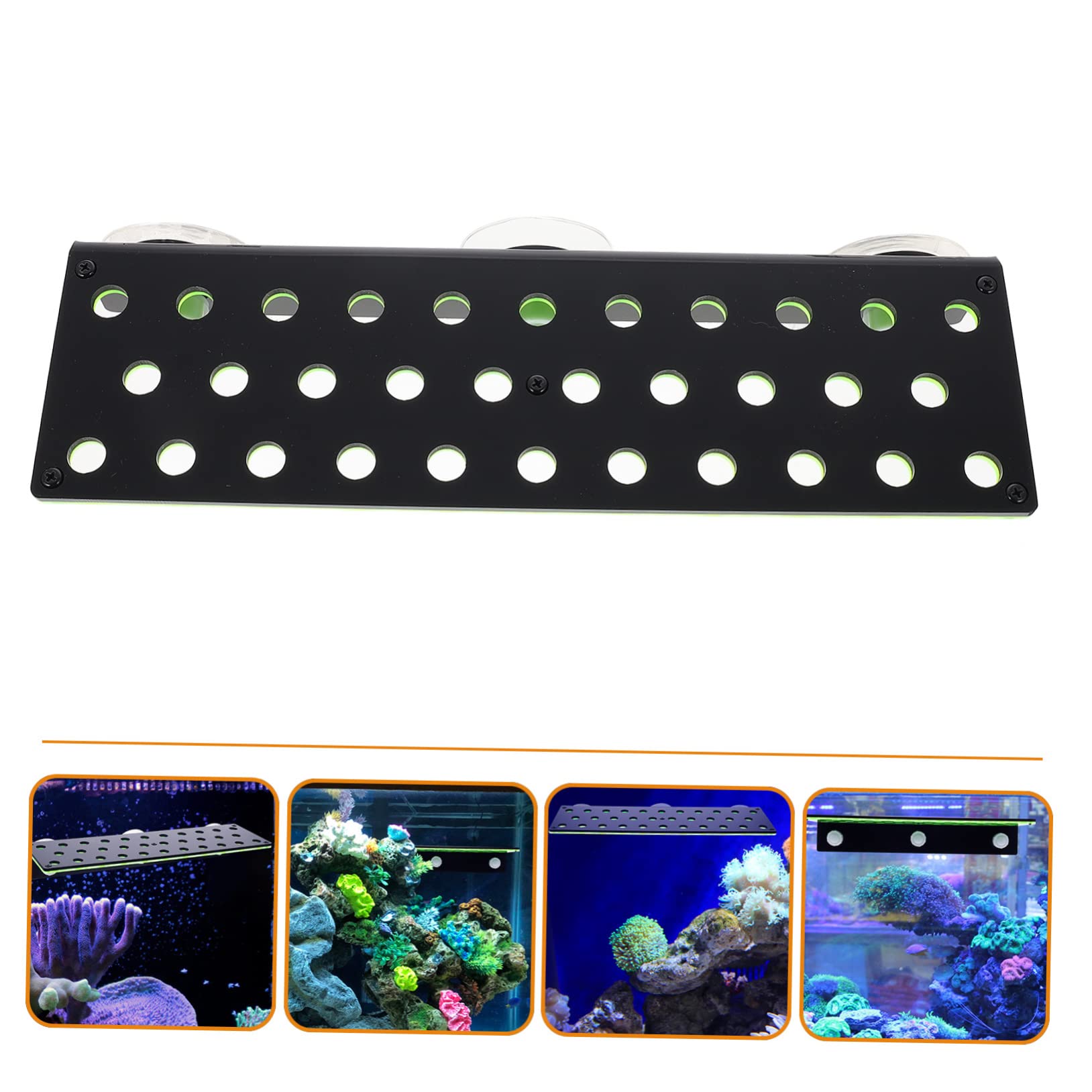 Dekorativer Korallenhalter zur Stabilisierung, 32-fach, Acryl, Grün | Ablegergestell für Meerwasserkorallen, zur Zucht Lebender Exemplare, als Aquarien Deko
