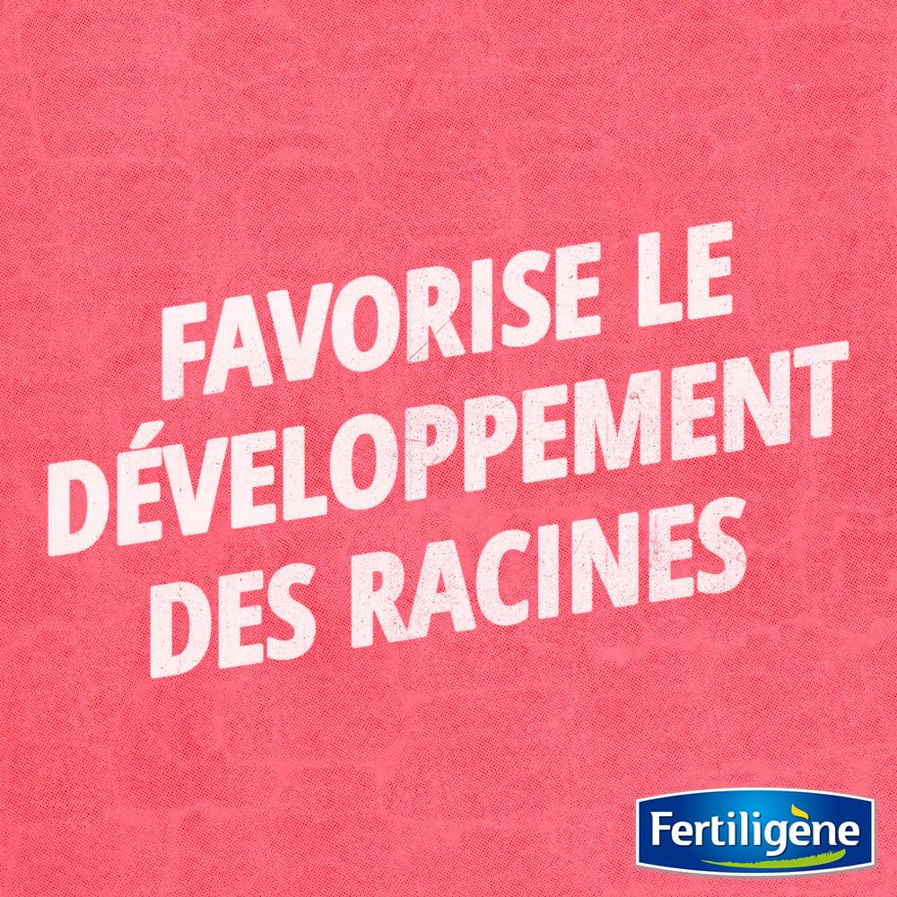 Fertiligène FBOUTU1 - Bouturage 70 ML - Favorise Le développement des Racines - pour boutures et Plantes repiquées - Aide la Plante à Mieux résister au Stress lié au rempotage, sécheresse, au Froid