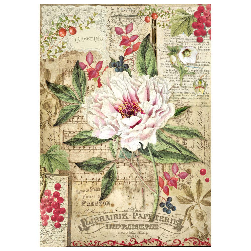 Stamperia Multicoloured International Kft A4 Decoupage Rice Paper Wrapped Peony With Red Berries, 29.7 X 21