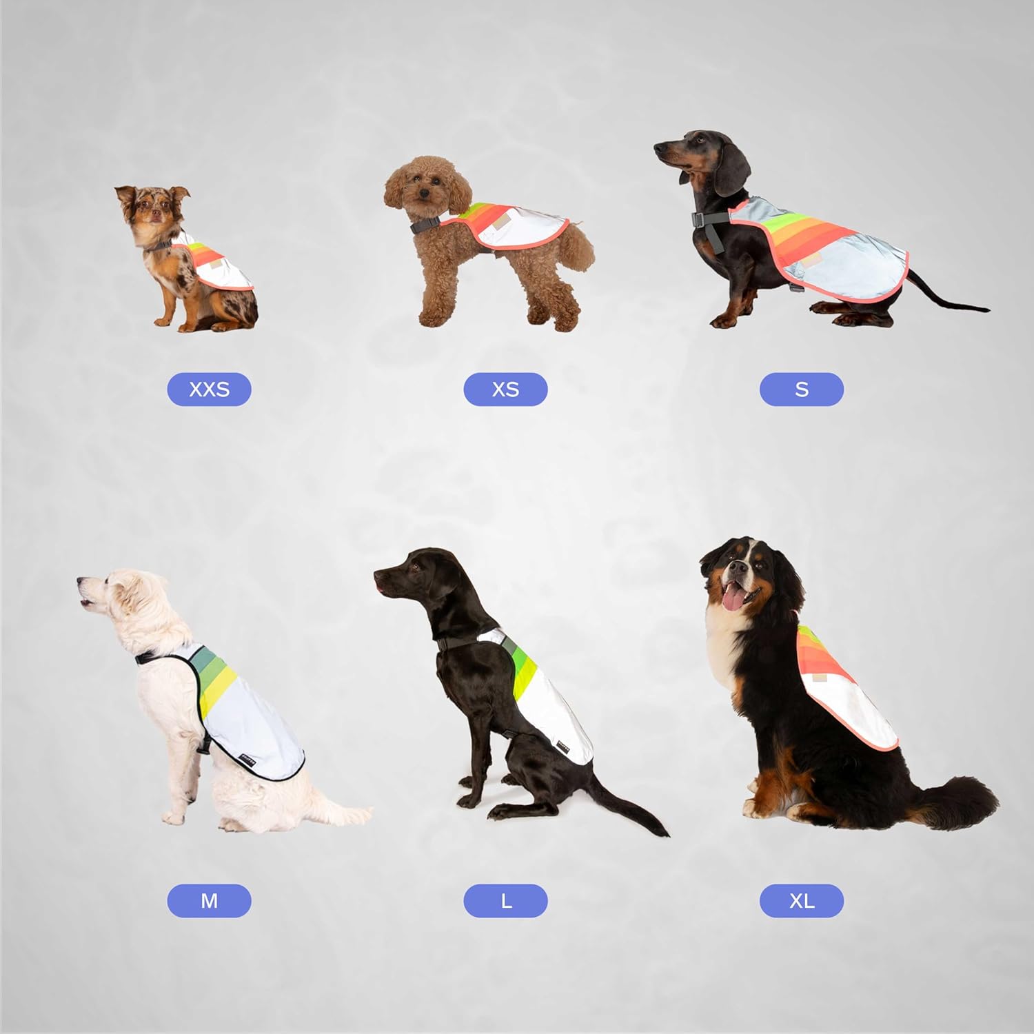 GOFLUO Moonlight Reflective Dog Coat - Northern Light Design - Size L – High-Visibility Vest for Dogs – Ideal for Night Walking, Outdoors Adventures