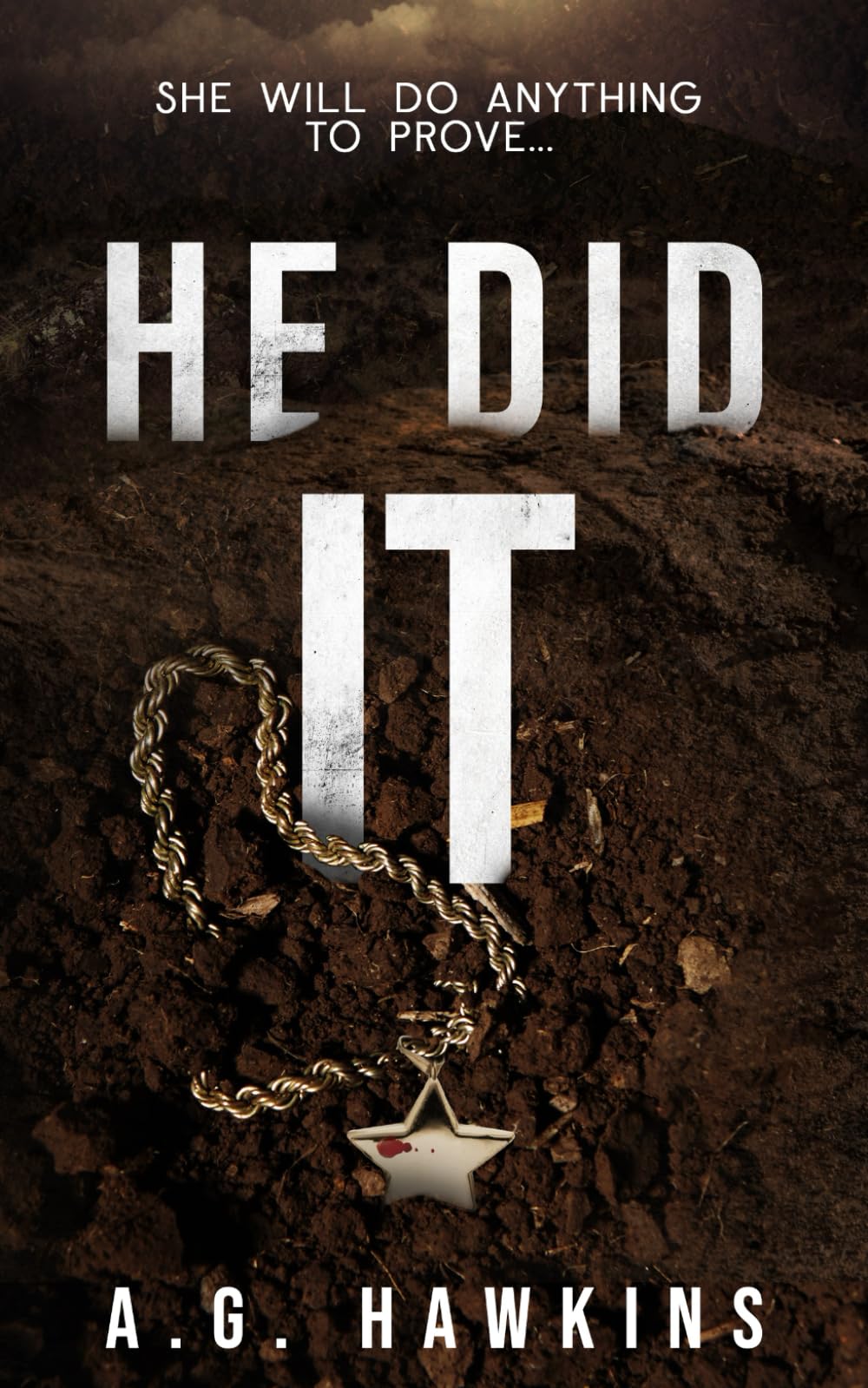 He Did It (He Did It series)