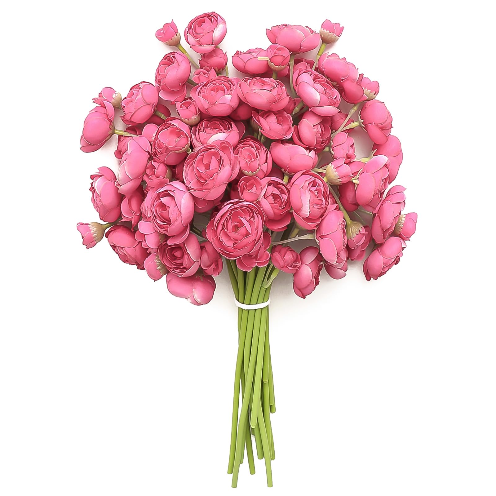 Floroom Ranunculus 18 Pcs