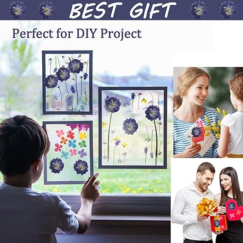 Miniatura 4 de Flores secas prensadas moradas grandes para adornos de manualidades de resina, 60 flores naturales prensadas para joyería de resina, caja de