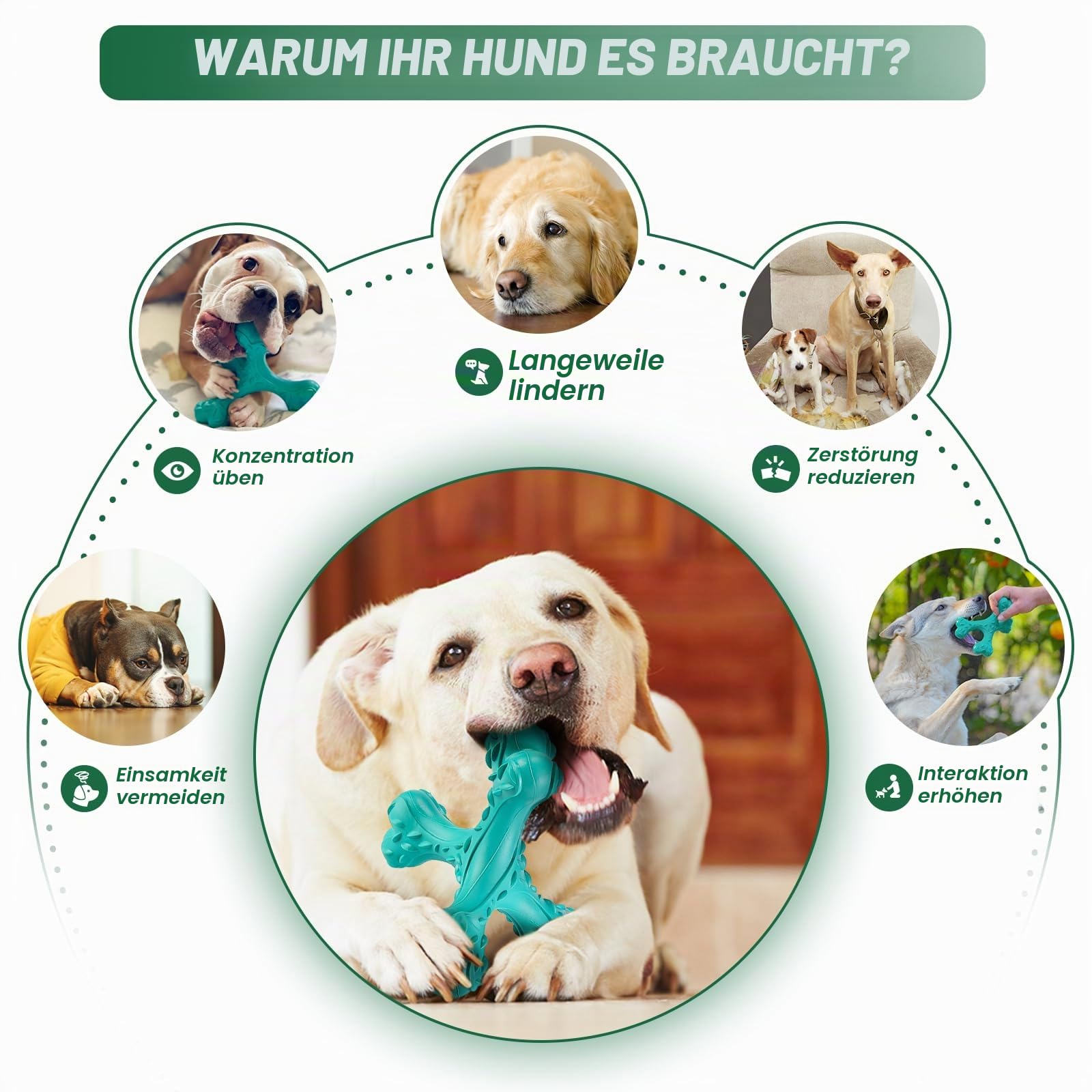 Kauspielzeug für Aggressive Kauer, große Rassen, unzerstörbares Knochenspielzeug, langlebige Reinigungszahnbürste, Naturkautschuk, Hundespielzeug