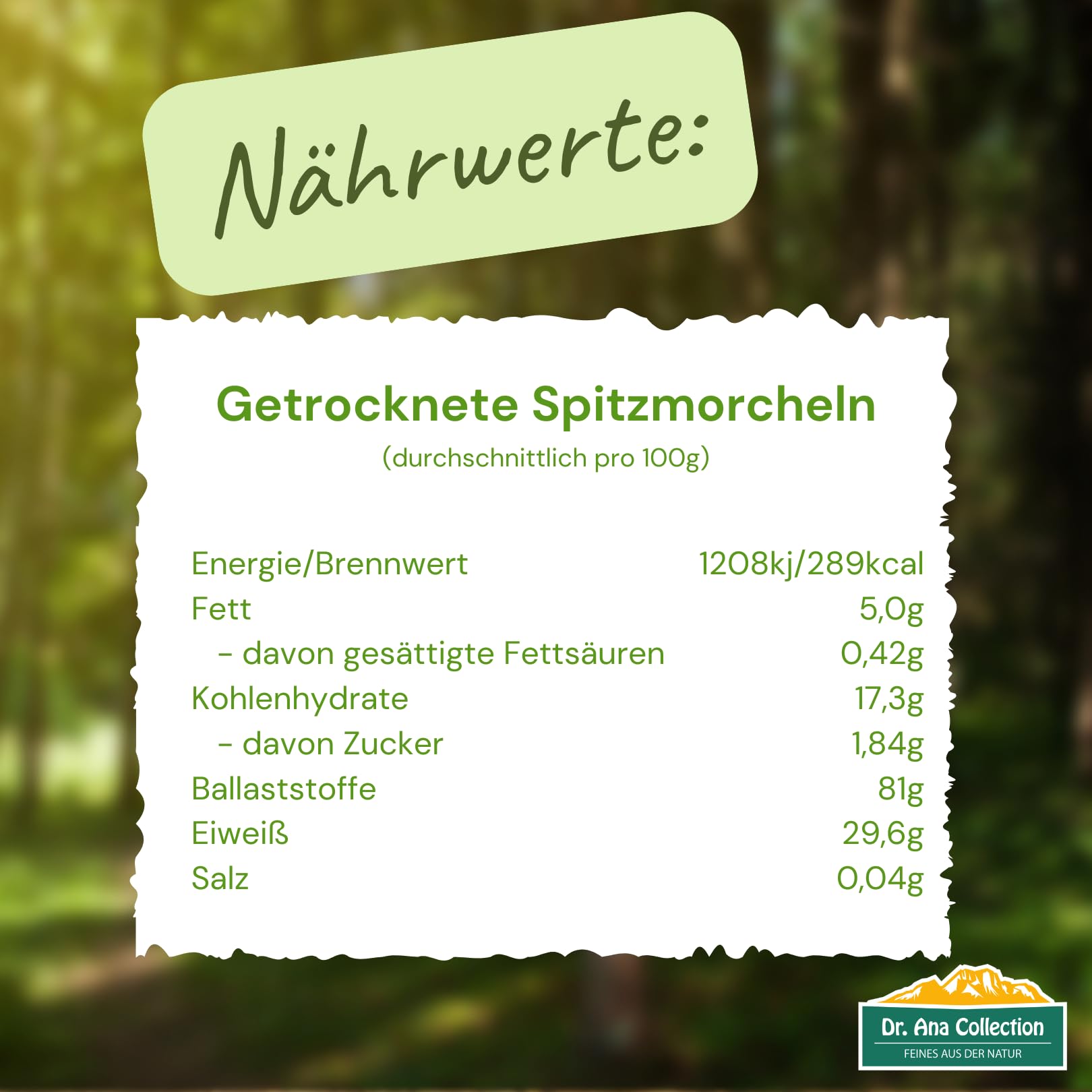Dr. Ana Collection - getrocknete Spitzmorcheln ganze Köpfe (50g) | ohne Zusatzstoffe - 100% naturbelassen | aus europäischer Wildsammlung | Spitzenqualität
