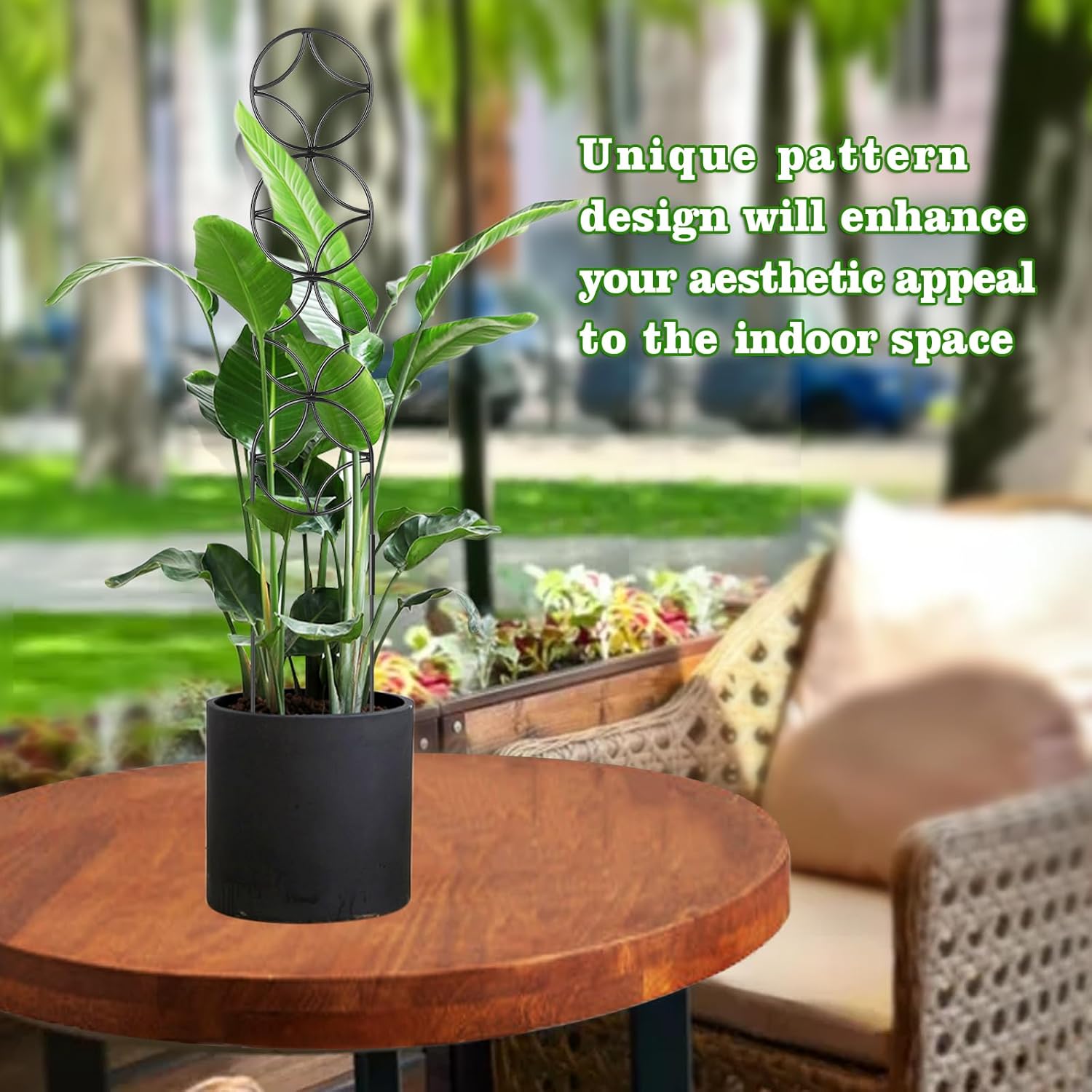 24Inch Outdoor Plant Trellis for Climbing Plants,Metal Garden Trellis for Potted Plants,Plant Stakes for Indoor Plants Accessories Hoya,Flower,Plant Support,Plant Gifts (24IN-Coin)