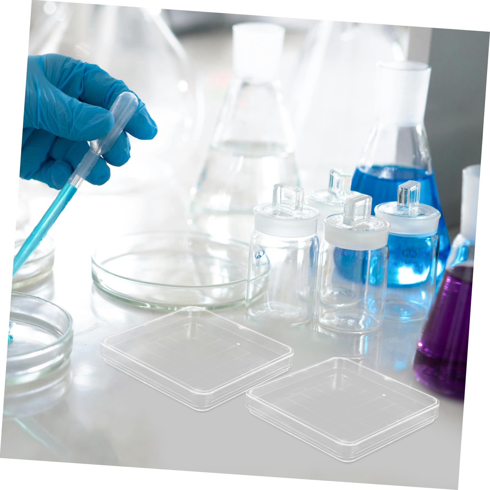 CHILDWEET 10pcs Petri Dish Science Experiment Agar Plates Bl-OOD Sample Dish Samples Dish Petri Plate Tissue Culture Dish Laboratory Agar Plates Cell Culture Dish Petri Holder Transparent