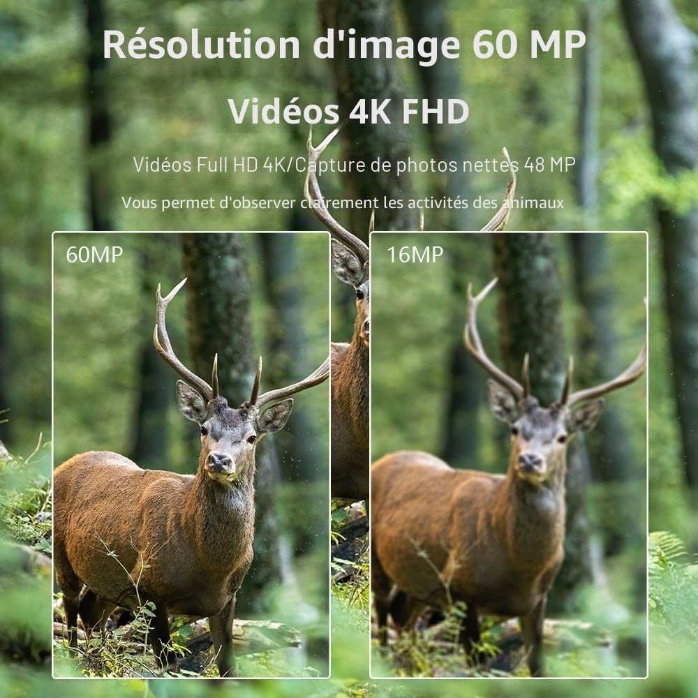 Caméra de Chasse Wi-Fi 4K 60MP HD avec Vision Nocturne - Captures incroyables des animaux sauvages - Connexion Mobile sans fil - Étanche IP66